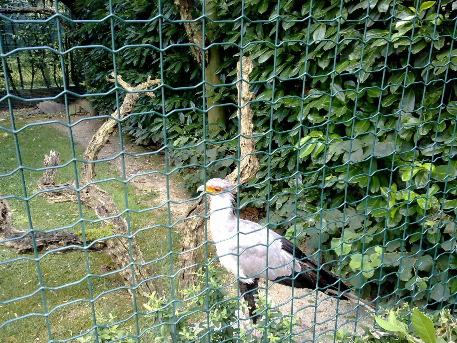 Cappeller Fauna Park