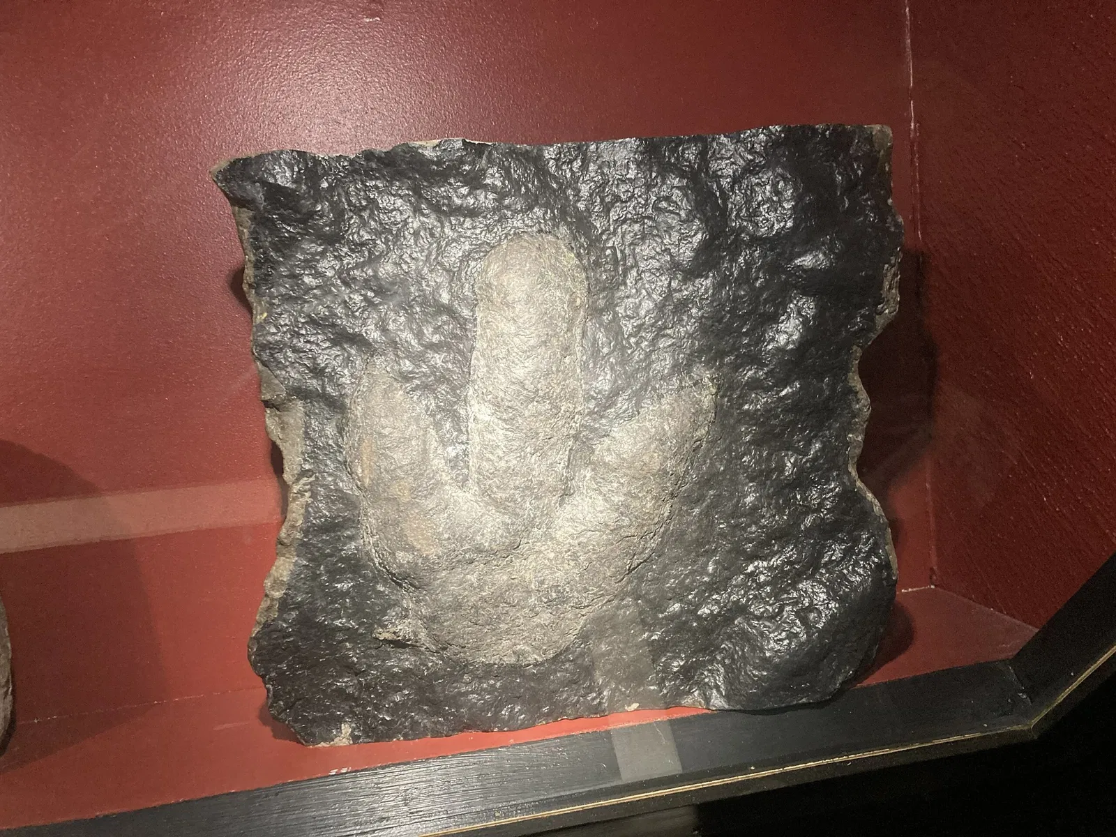 Höganäs Museum och Konsthall