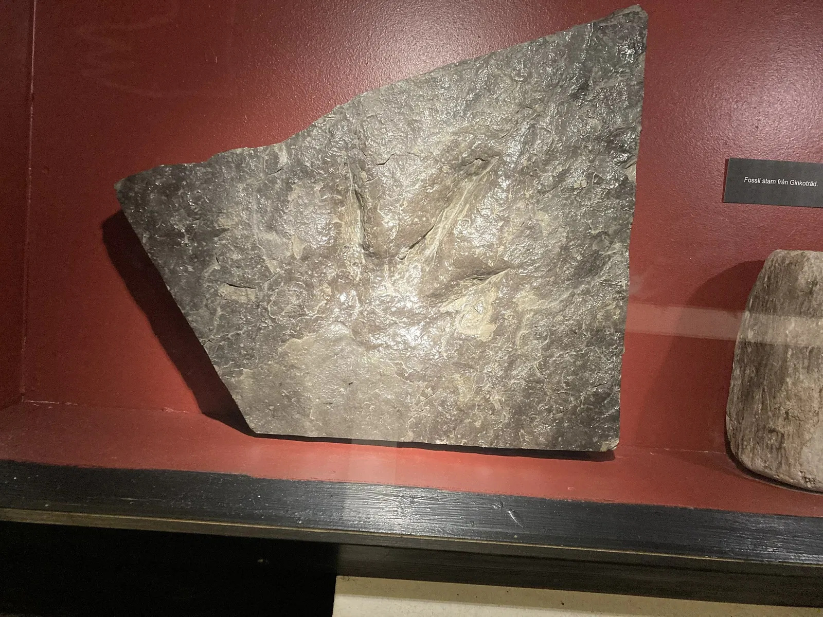 Höganäs Museum och Konsthall