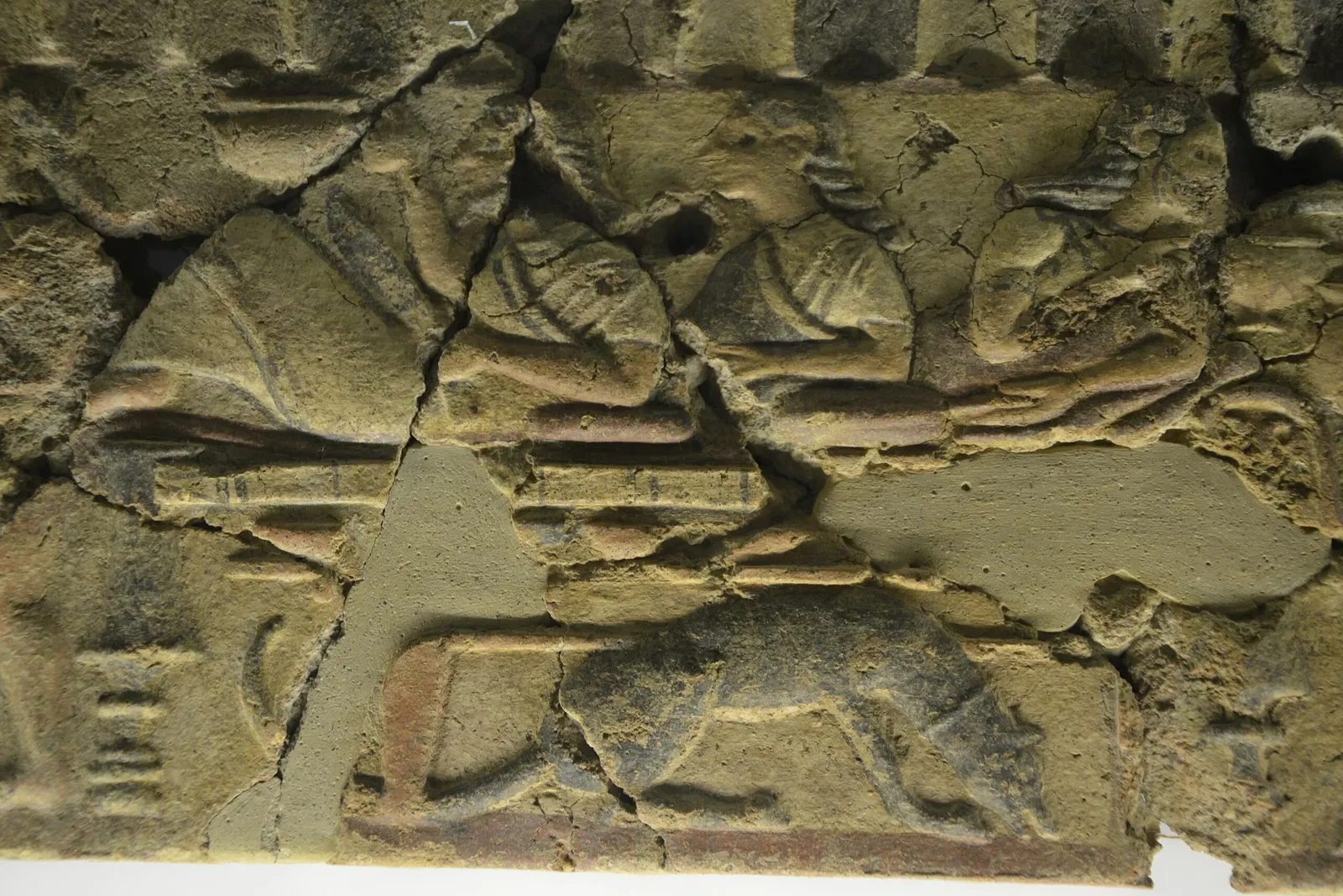 Museo Archeologico Nazionale di Tuscania