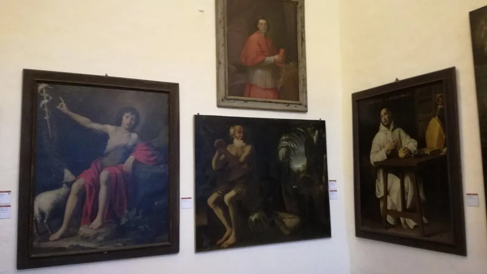 Museo della Certosa di Pavia