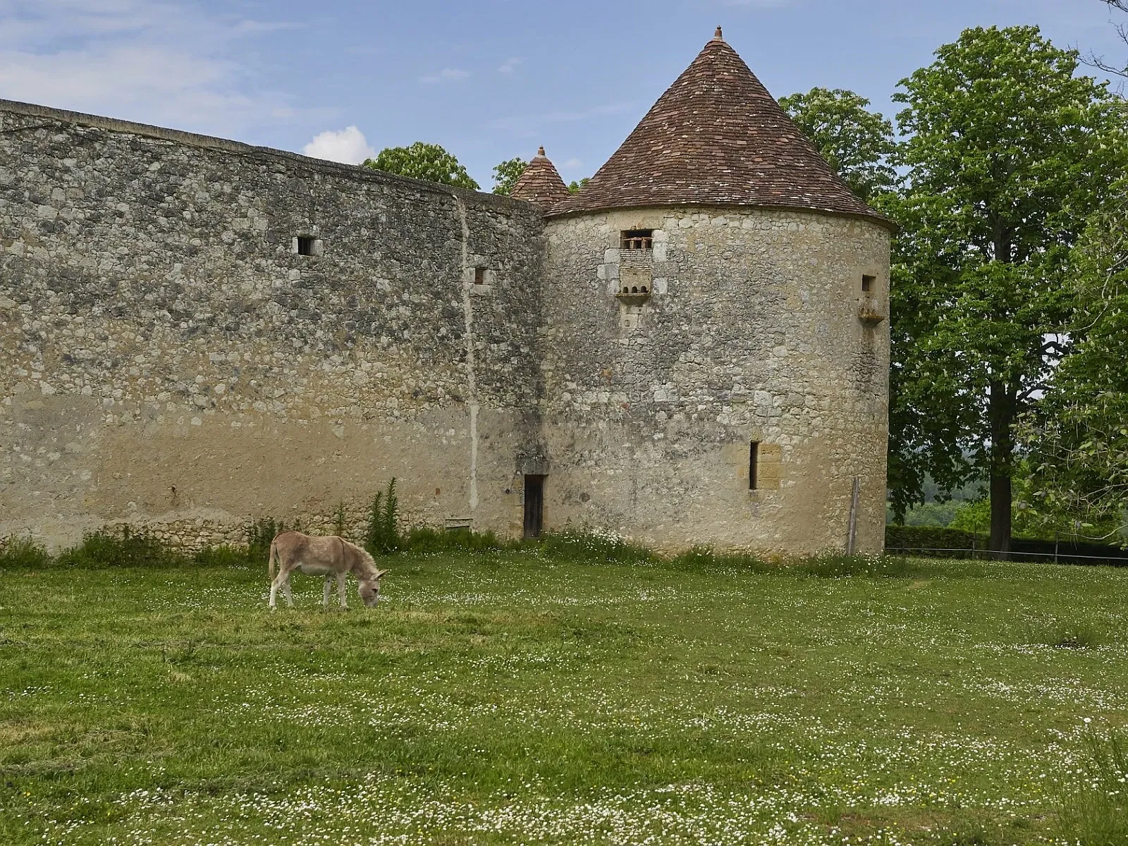 Montaigne's Tower