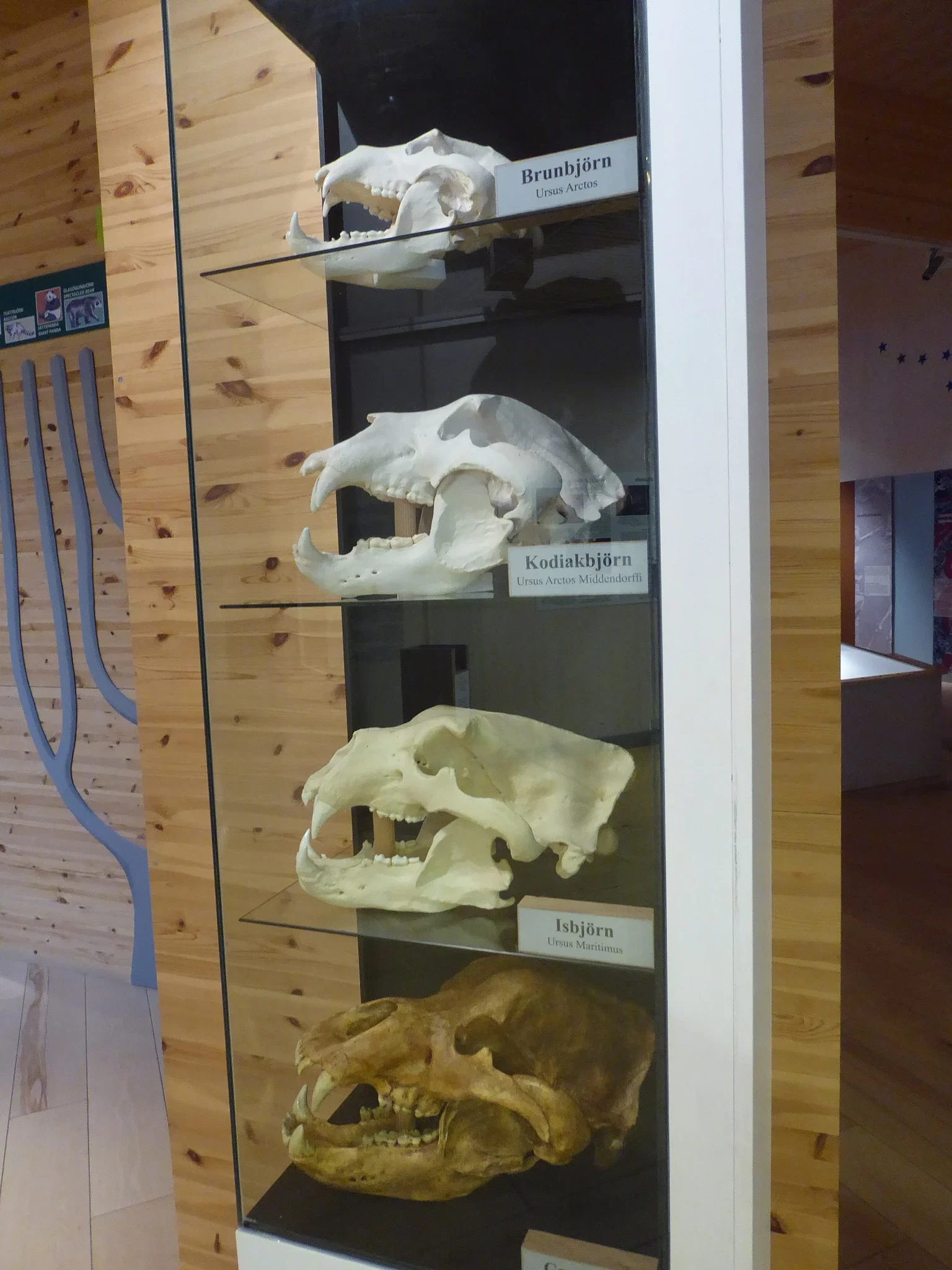 Orsa Predator Park