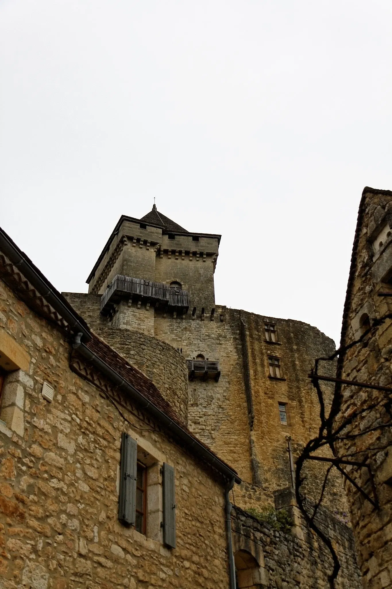 Castelnaud Castle