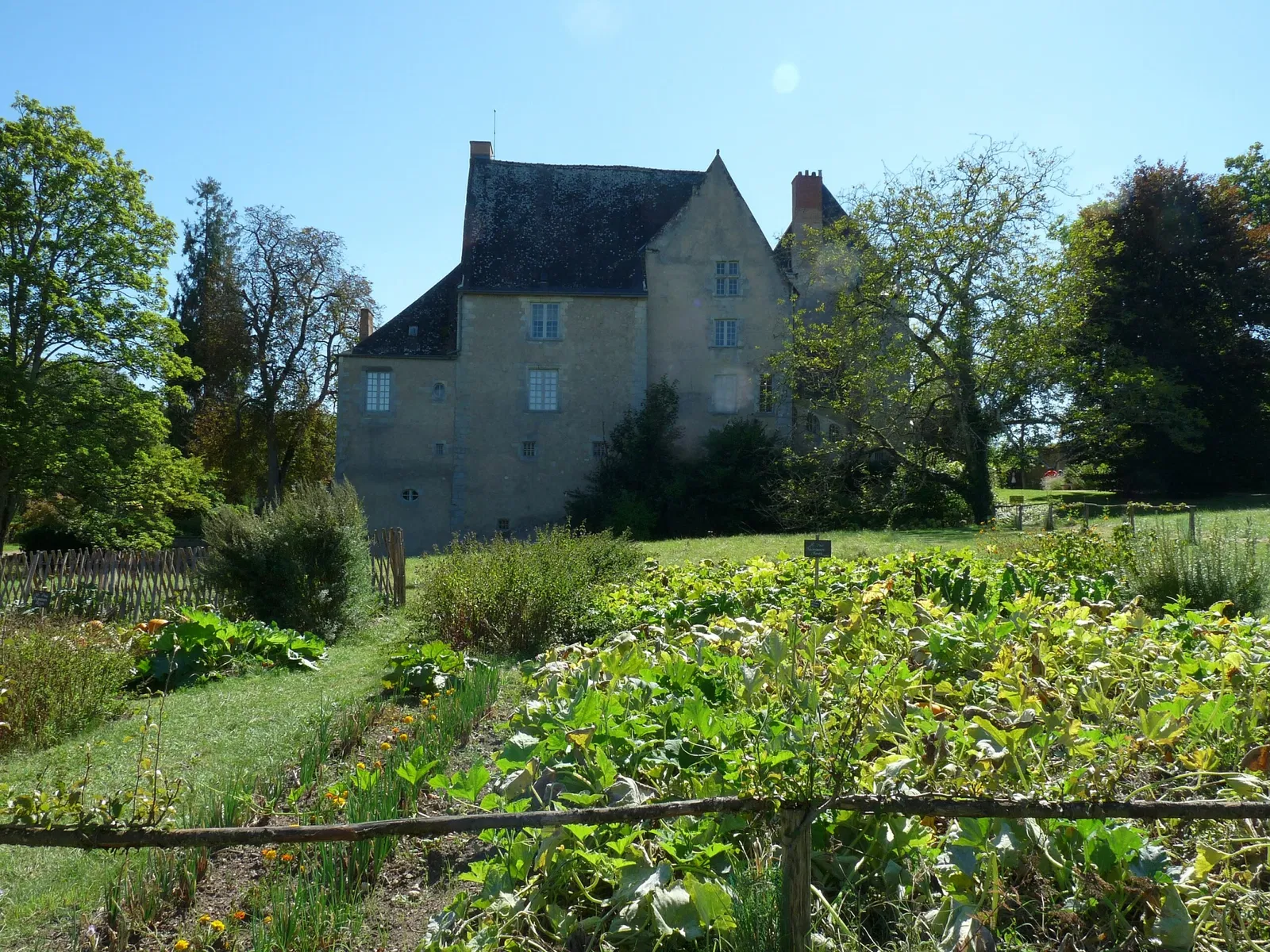 Château de Saché