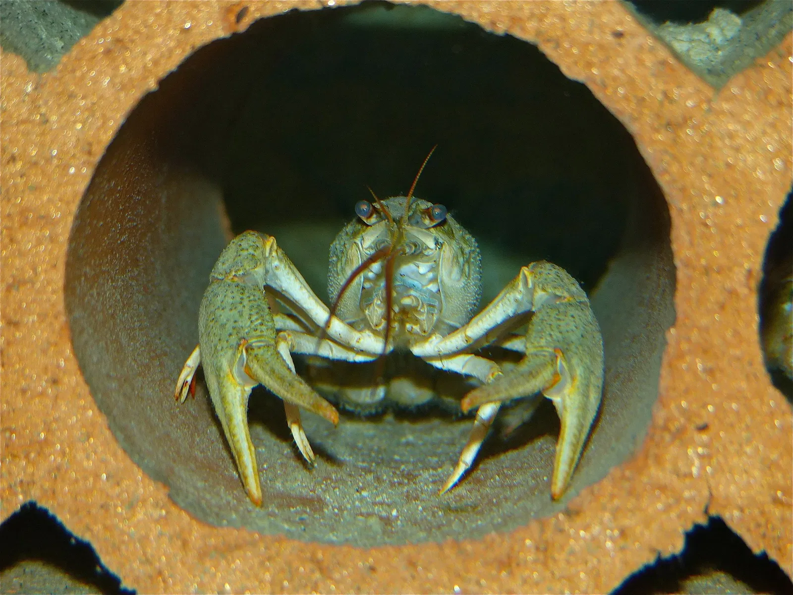 Aquarium de Touraine