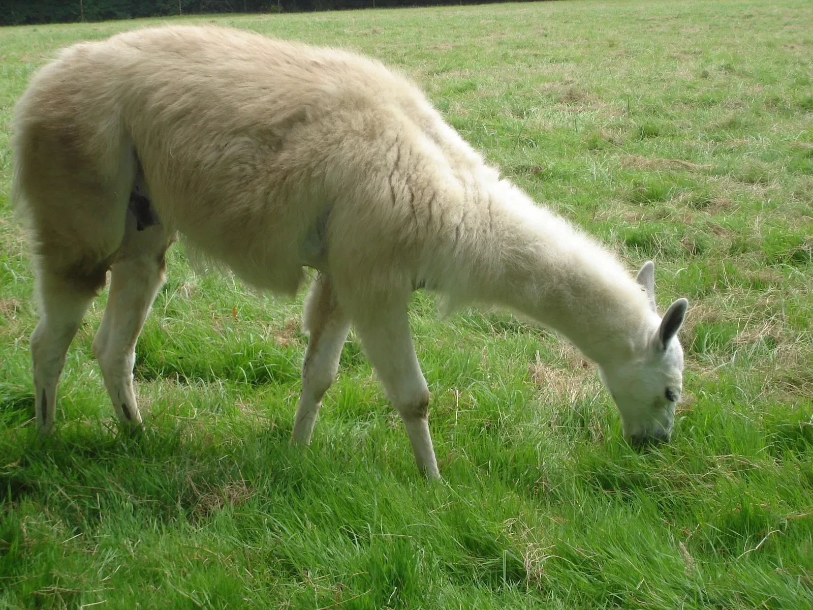 Haute Touche Zoological Park