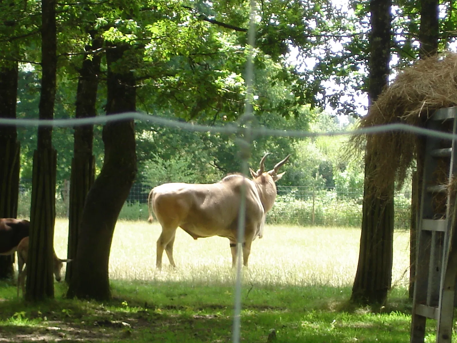 Réserve Zoologique de la Haute-Touche