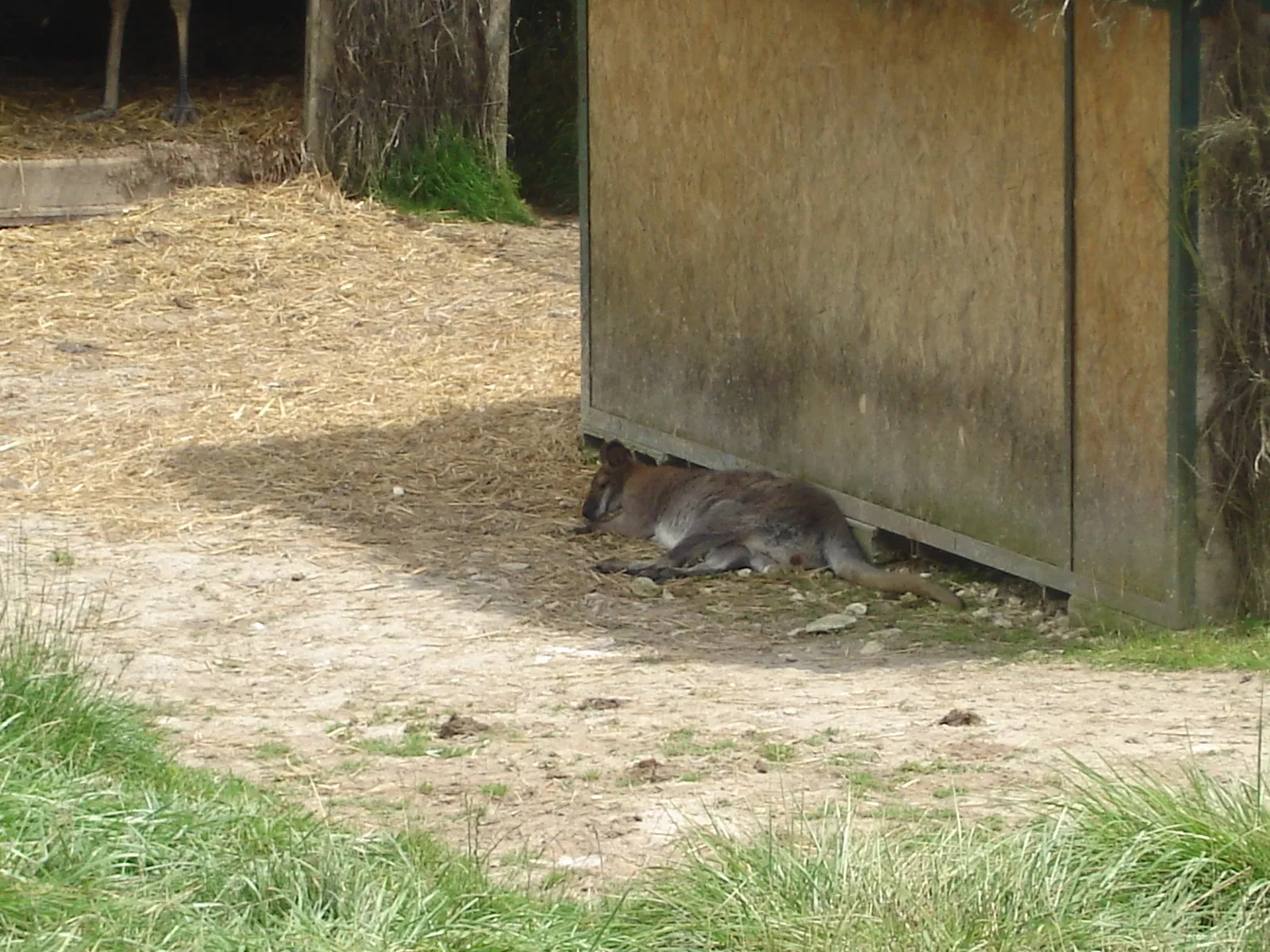 Réserve Zoologique de la Haute-Touche