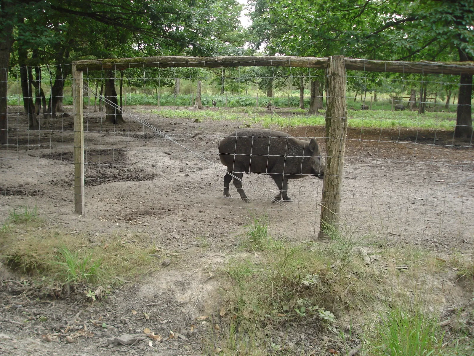 Réserve Zoologique de la Haute-Touche