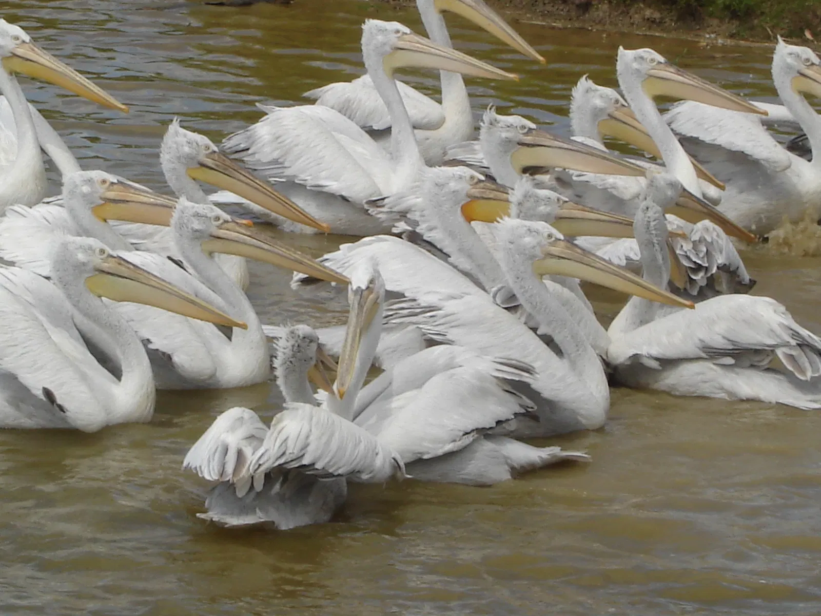 Réserve Zoologique de la Haute-Touche