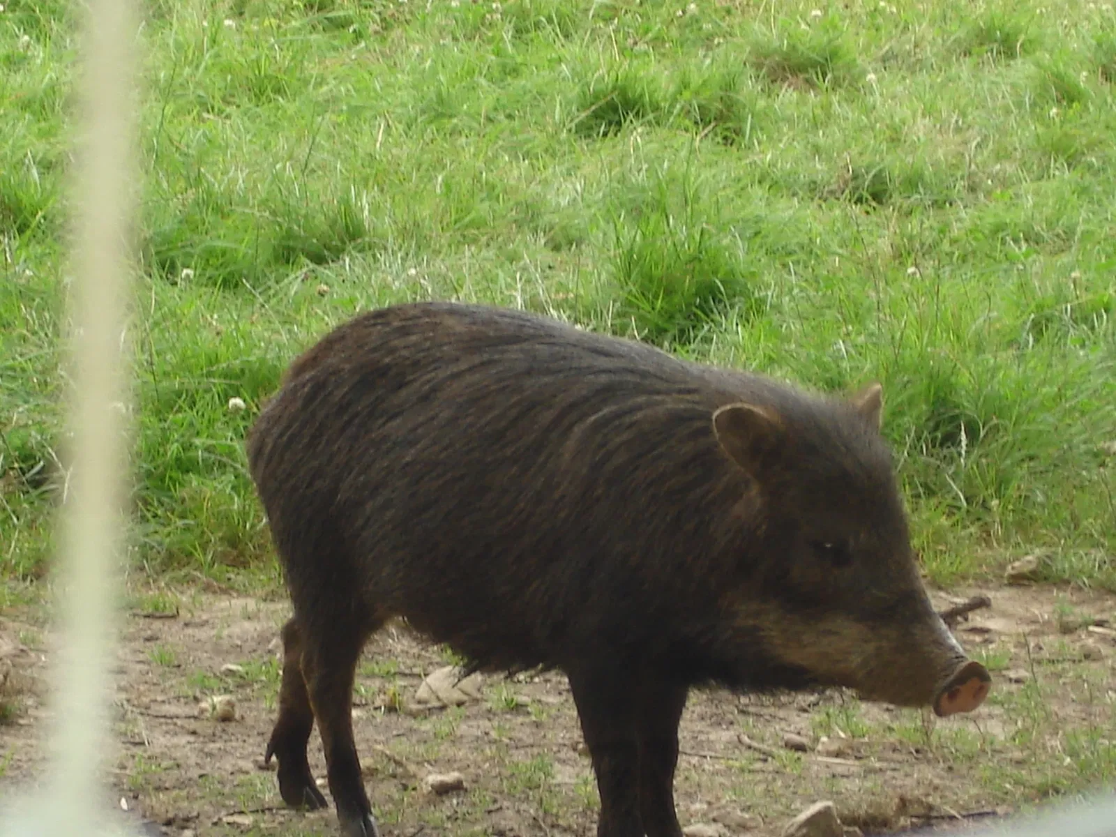 Réserve Zoologique de la Haute-Touche