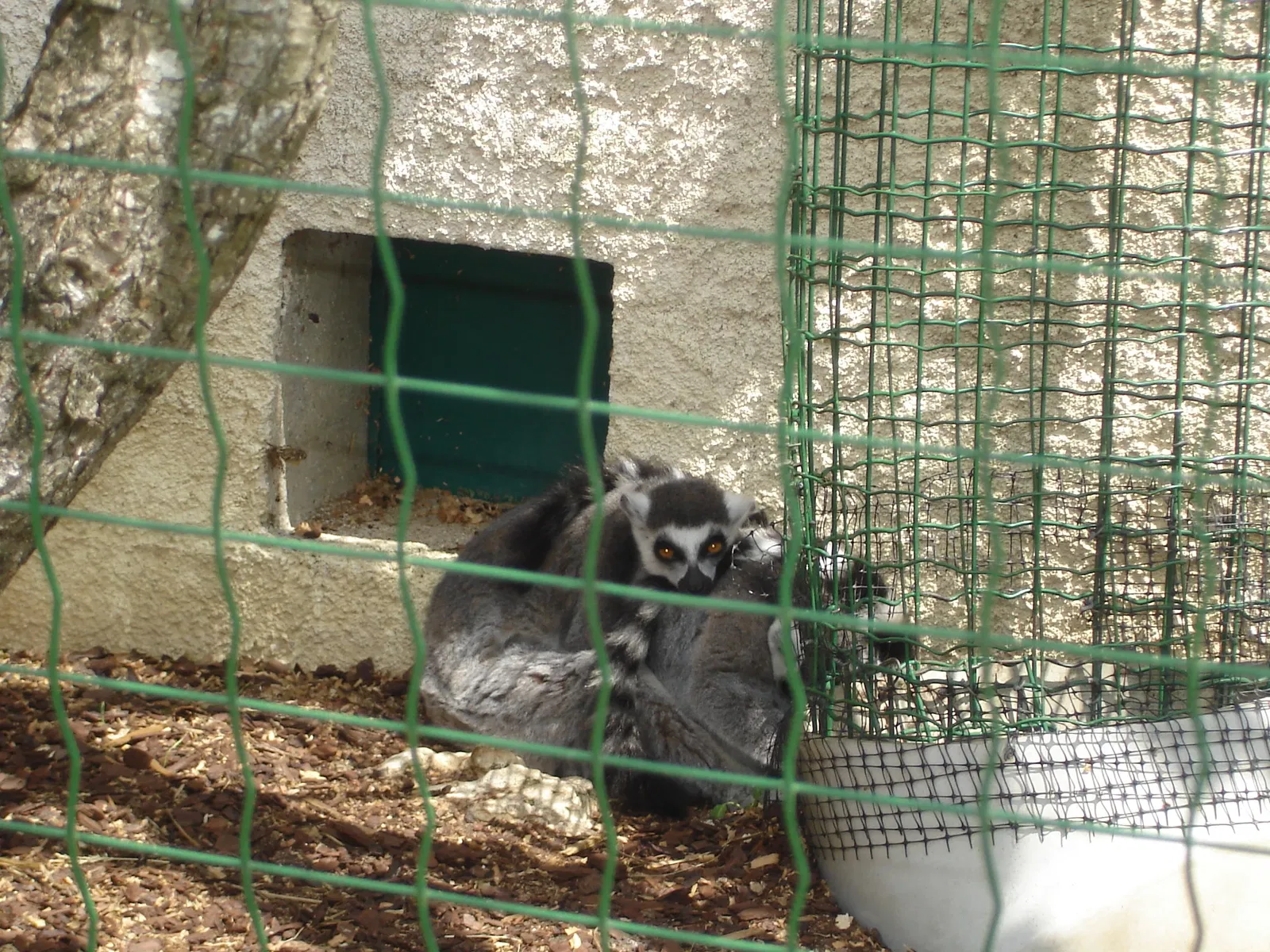 Haute Touche Zoological Park