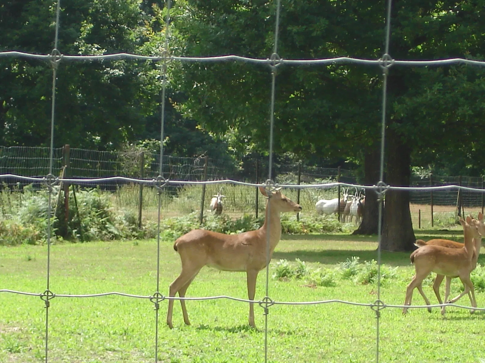 Haute Touche Zoological Park