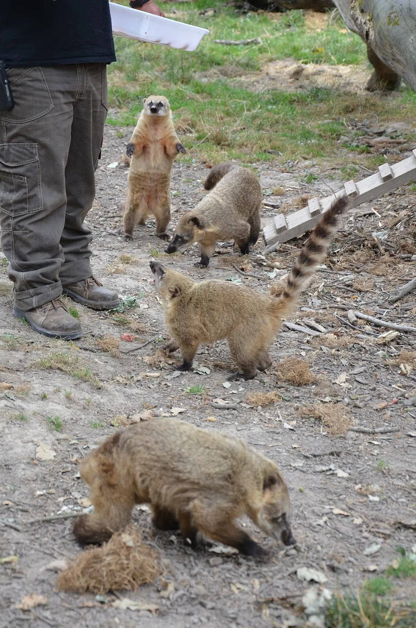Haute Touche Zoological Park