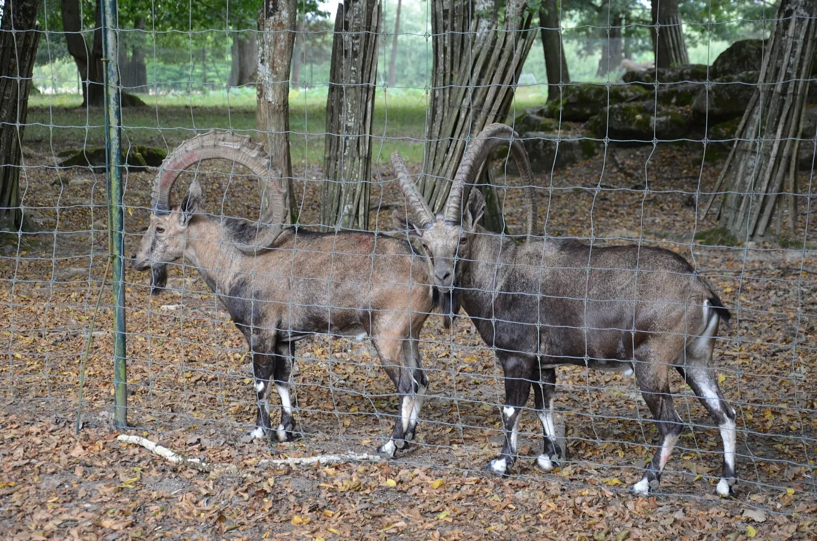 Haute Touche Zoological Park