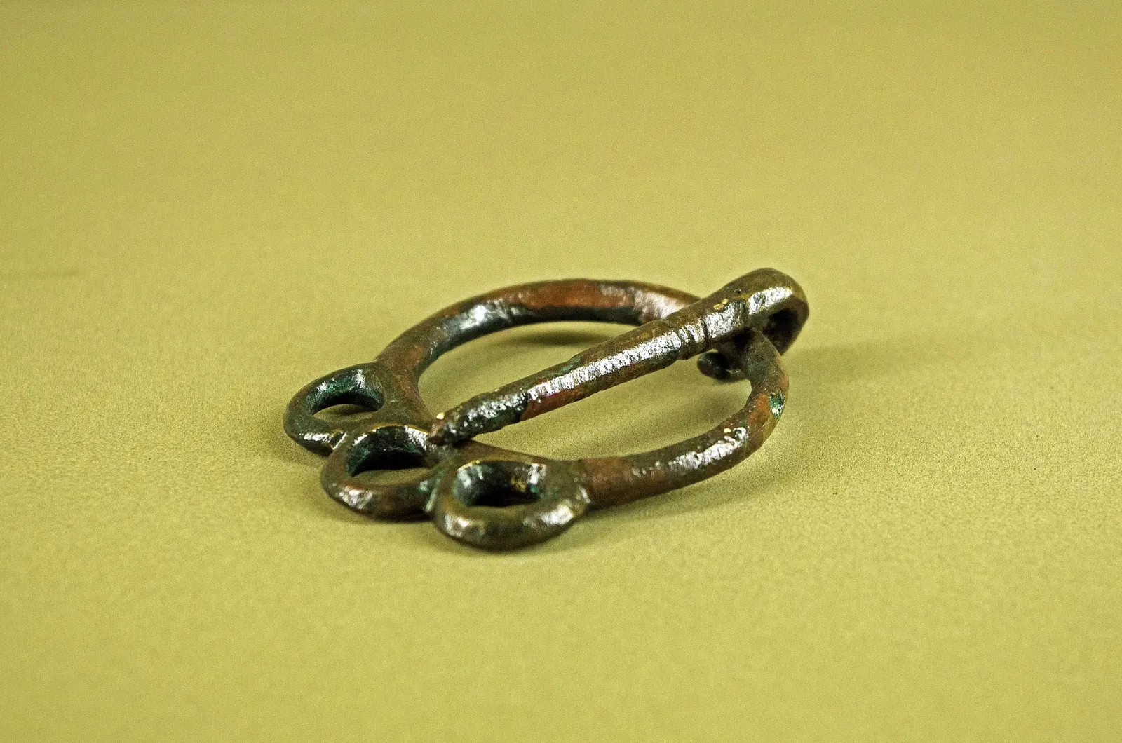 Musée de l'Hospice Saint-Roch