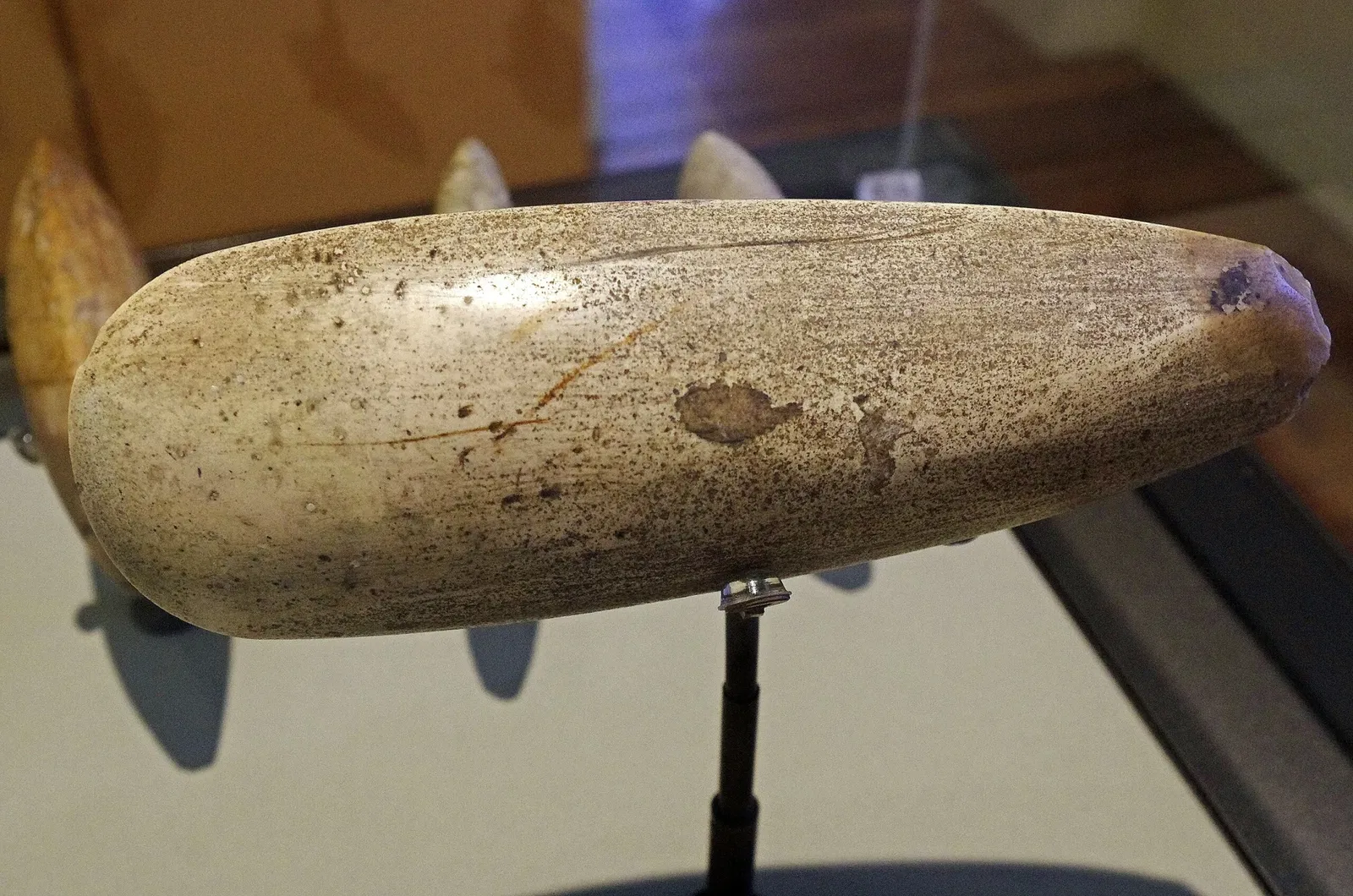 Musée de l'Hospice Saint-Roch