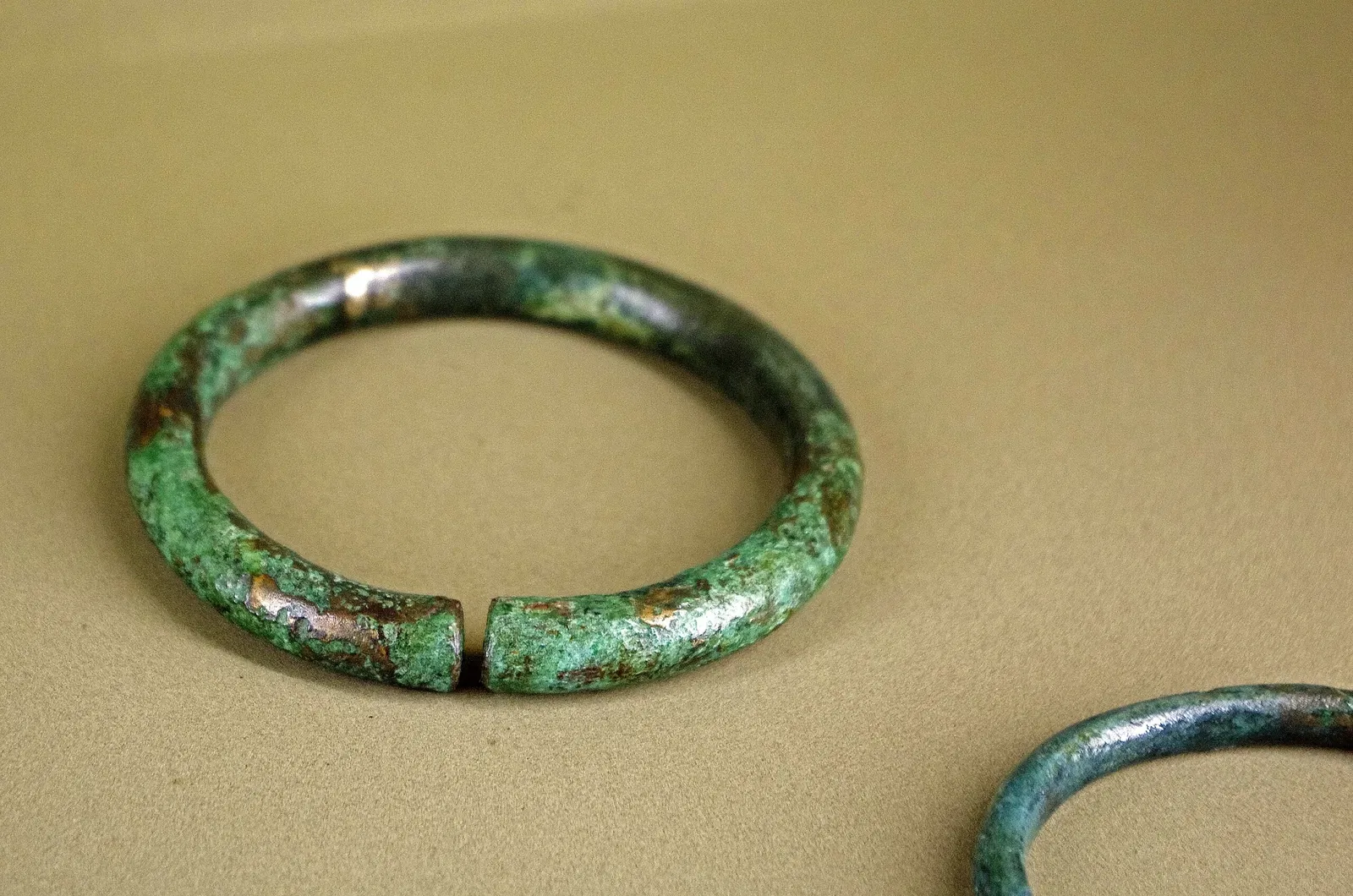 Musée de l'Hospice Saint-Roch