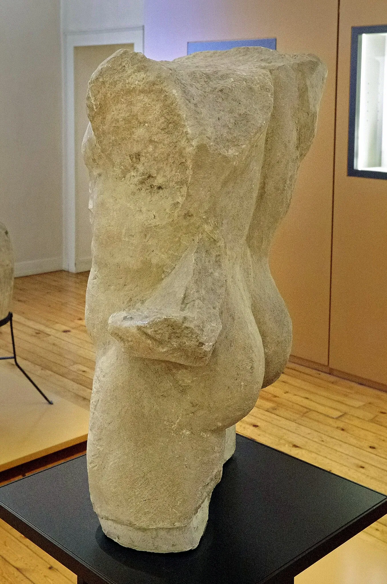 Musée de l'Hospice Saint-Roch