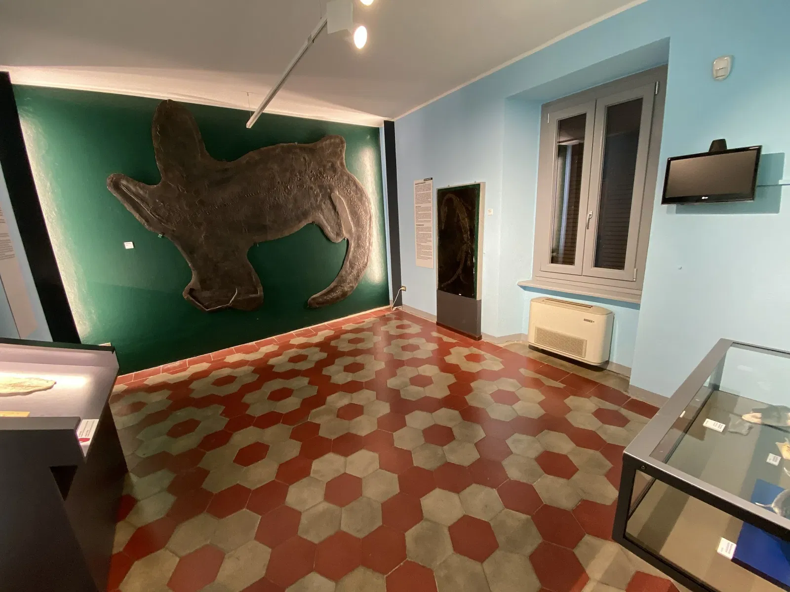 Museo Civico dei Fossili di Besano