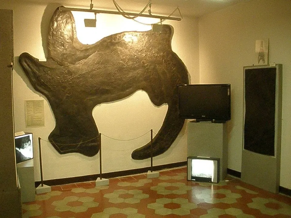 Museo Civico dei Fossili di Besano