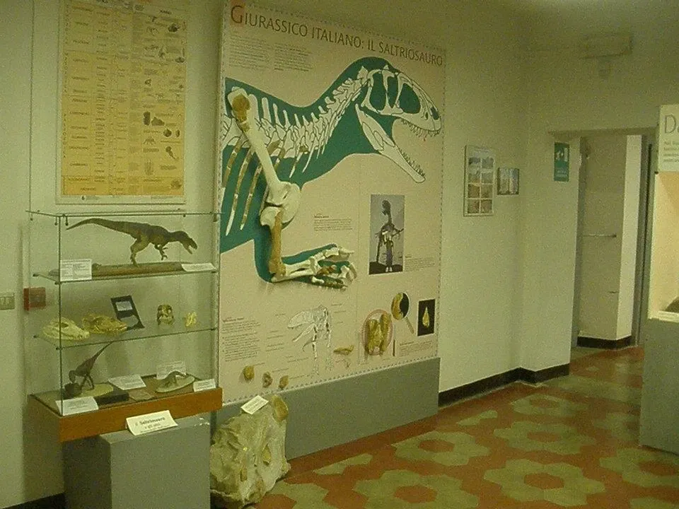 Civic Museum of Fossils of Besano