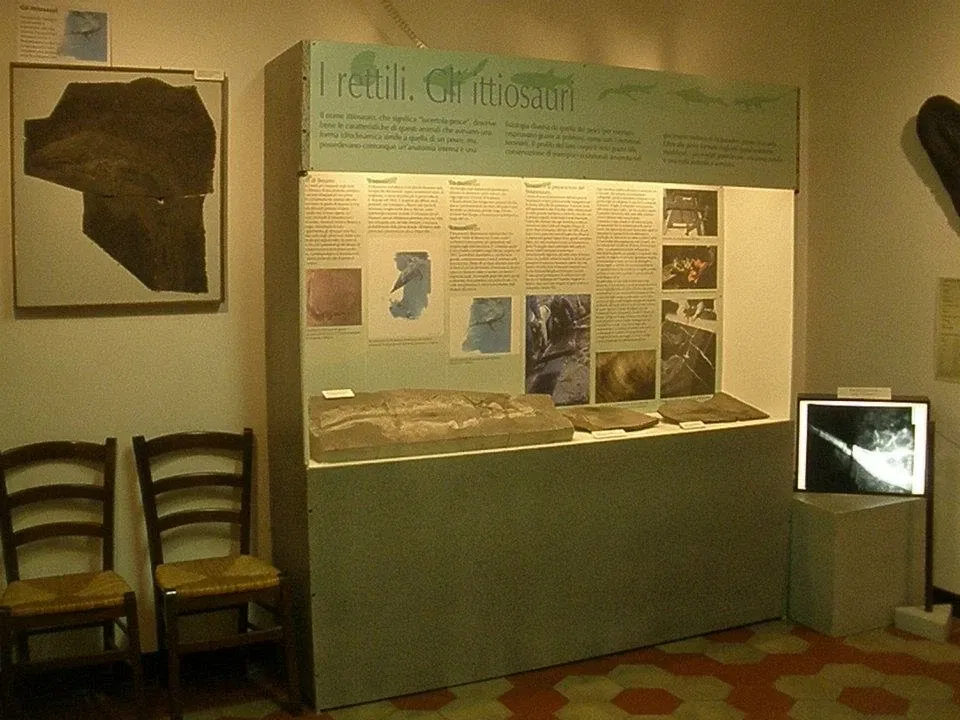 Civic Museum of Fossils of Besano