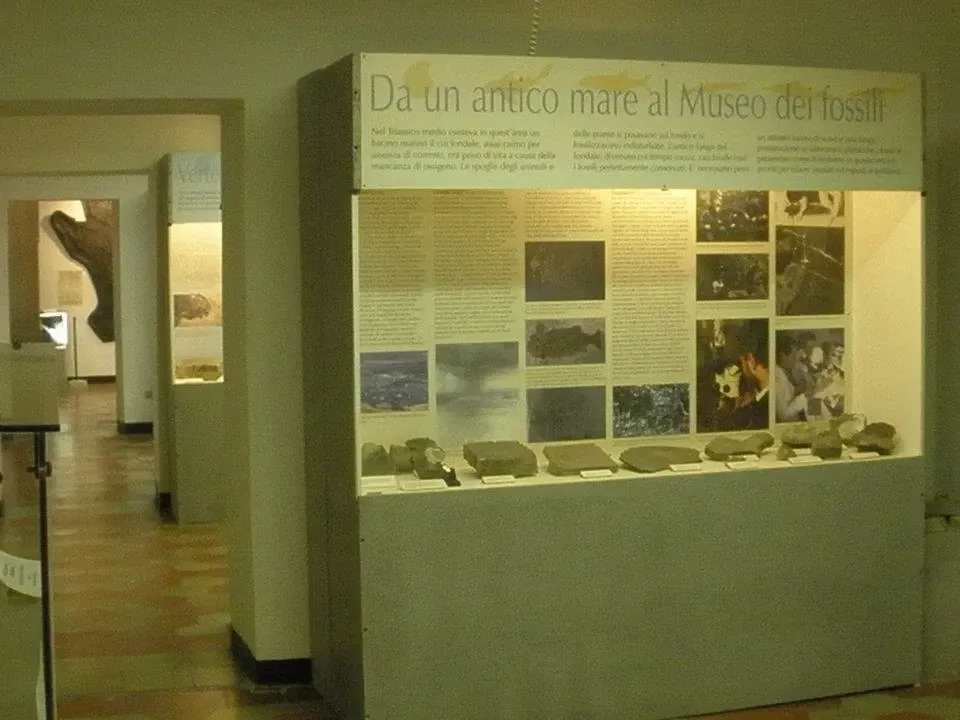 Civic Museum of Fossils of Besano