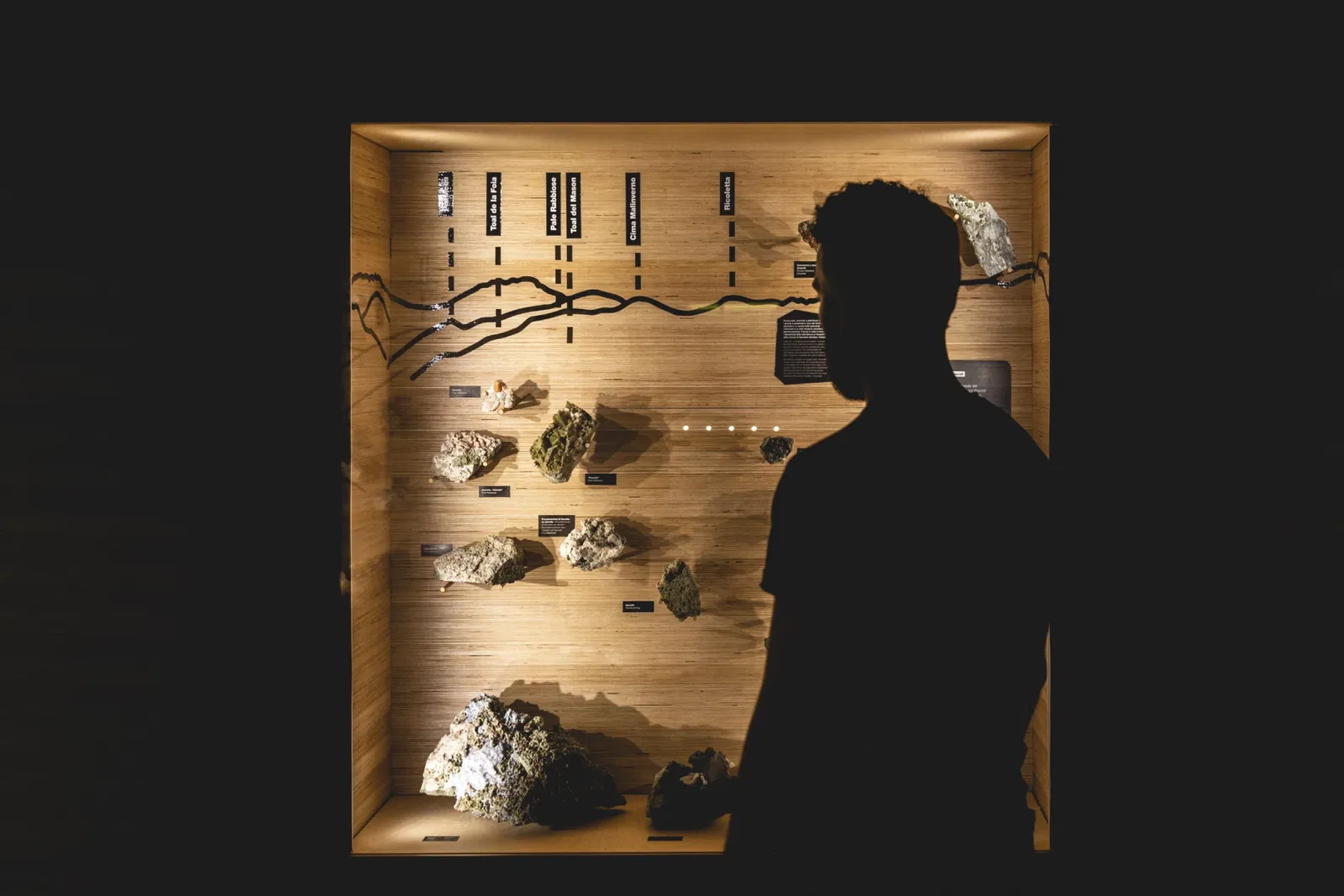 Museo Geologico delle Dolomiti di Predazzo