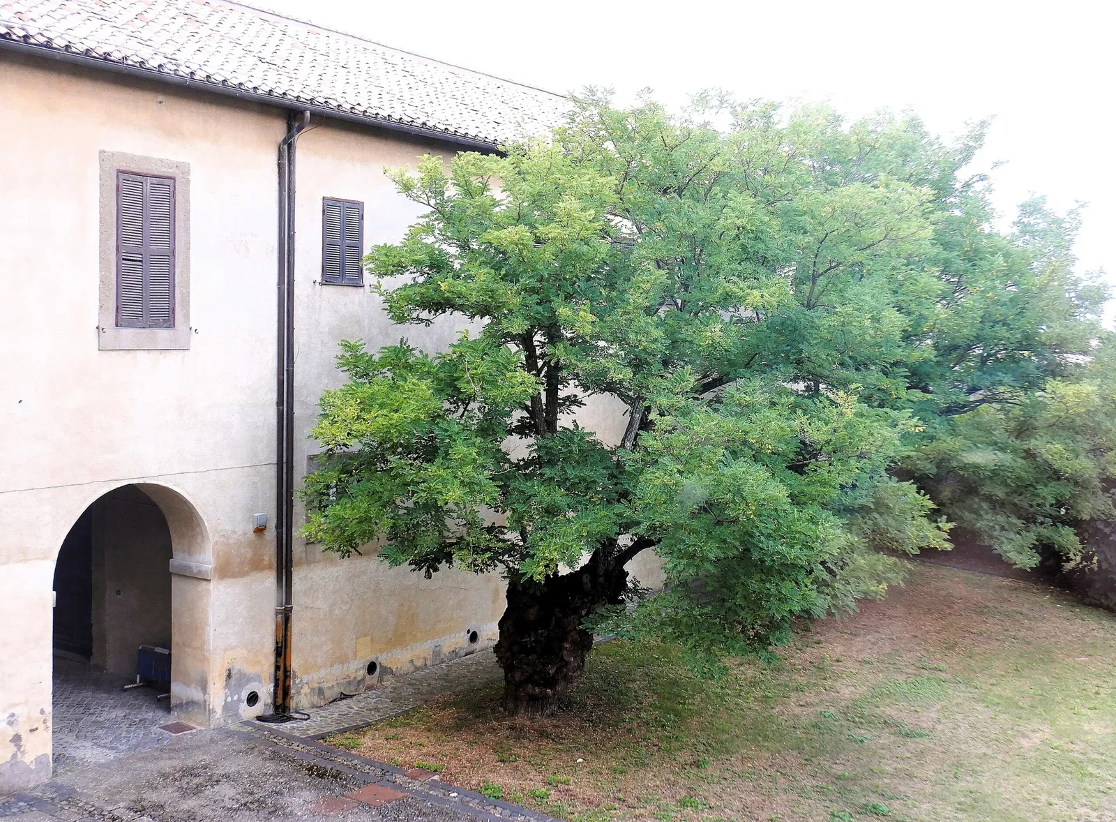 Palazzo Altieri Oriolo Romano