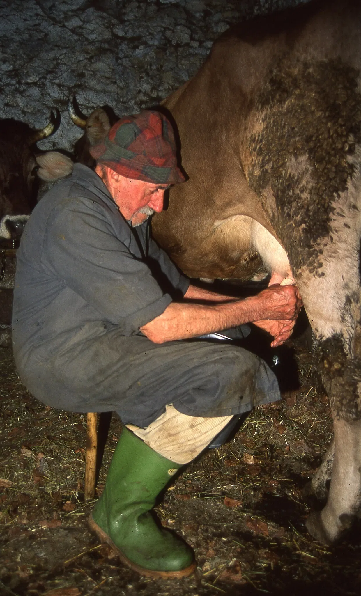 Museo del Latte e della Storia della Muggiasca