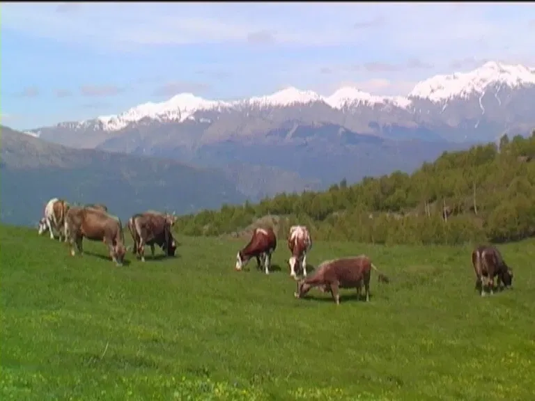 Museo del Latte e della Storia della Muggiasca