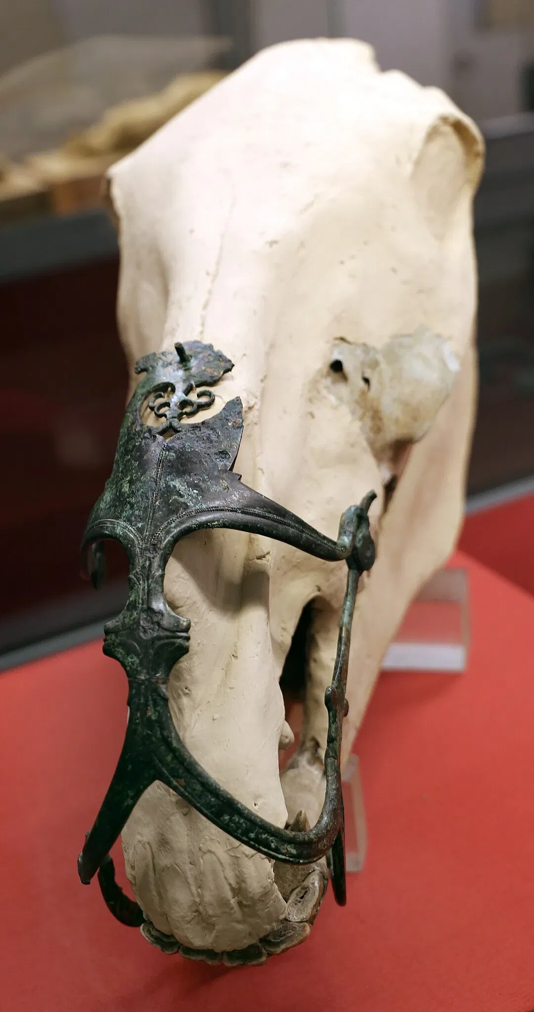 Museo Nazionale Atestino