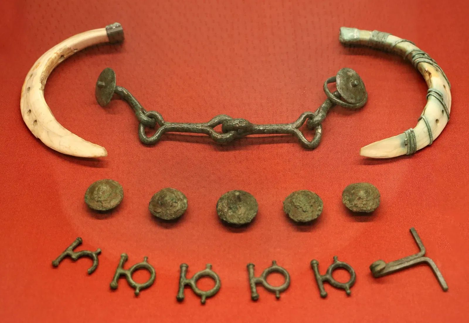 Museo Nazionale Atestino