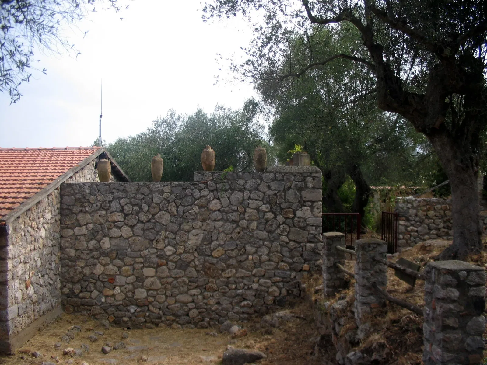 Museo Archeologico Nazionale ed Area Archeologica di Cosa