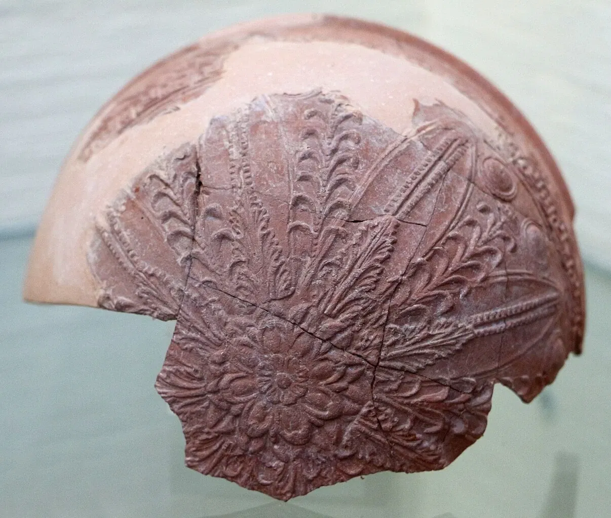 Museo Archeologico Nazionale ed Area Archeologica di Cosa