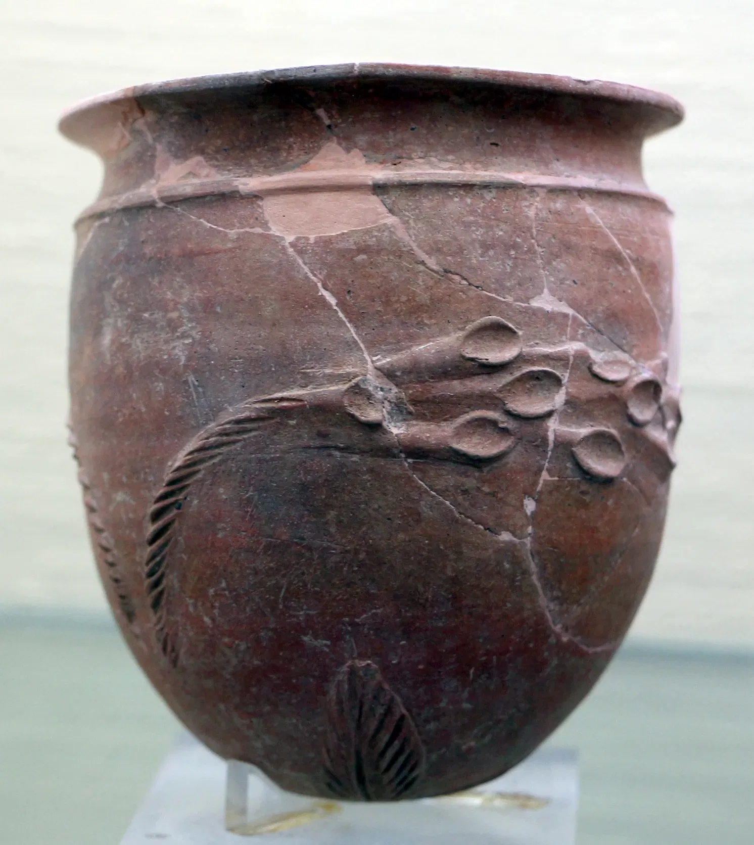 Museo Archeologico Nazionale ed Area Archeologica di Cosa