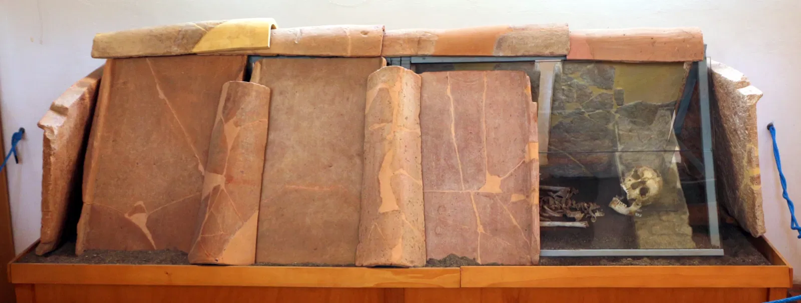 Museo Archeologico Nazionale ed Area Archeologica di Cosa