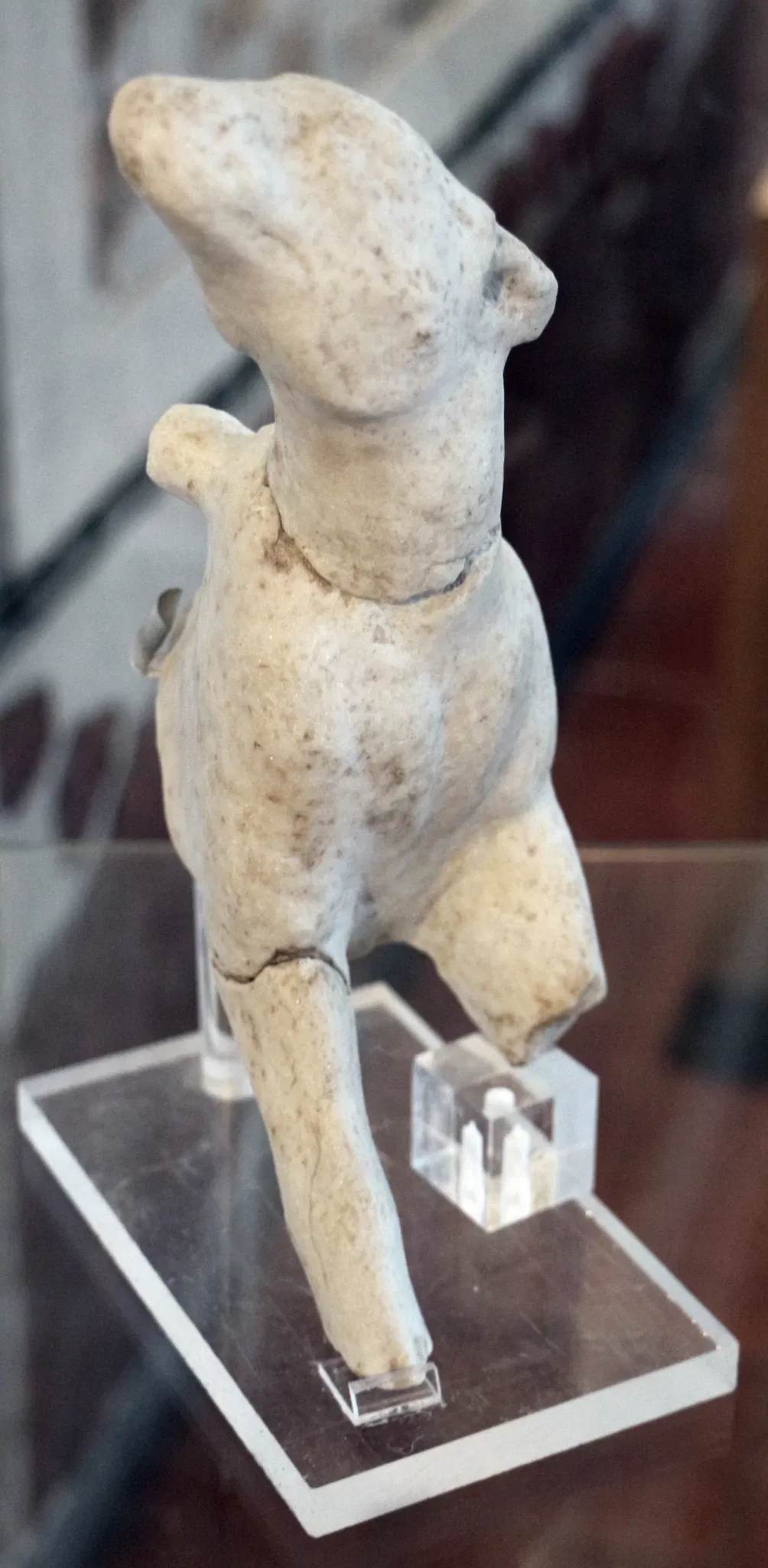 Museo Archeologico Nazionale ed Area Archeologica di Cosa