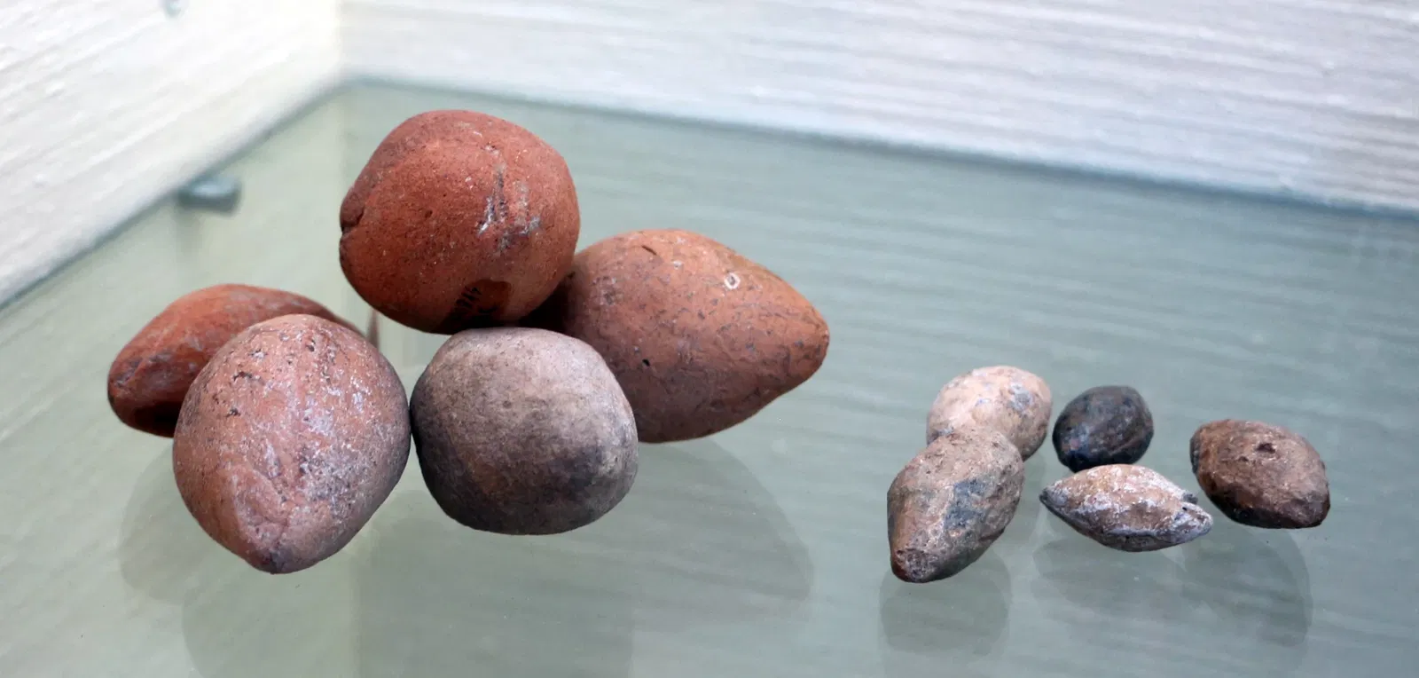 Museo Archeologico Nazionale ed Area Archeologica di Cosa