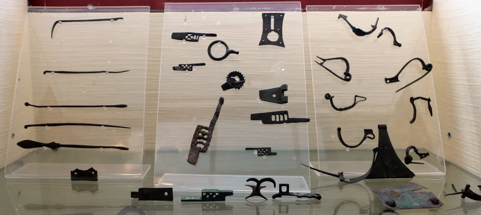 Museo Archeologico Nazionale ed Area Archeologica di Cosa