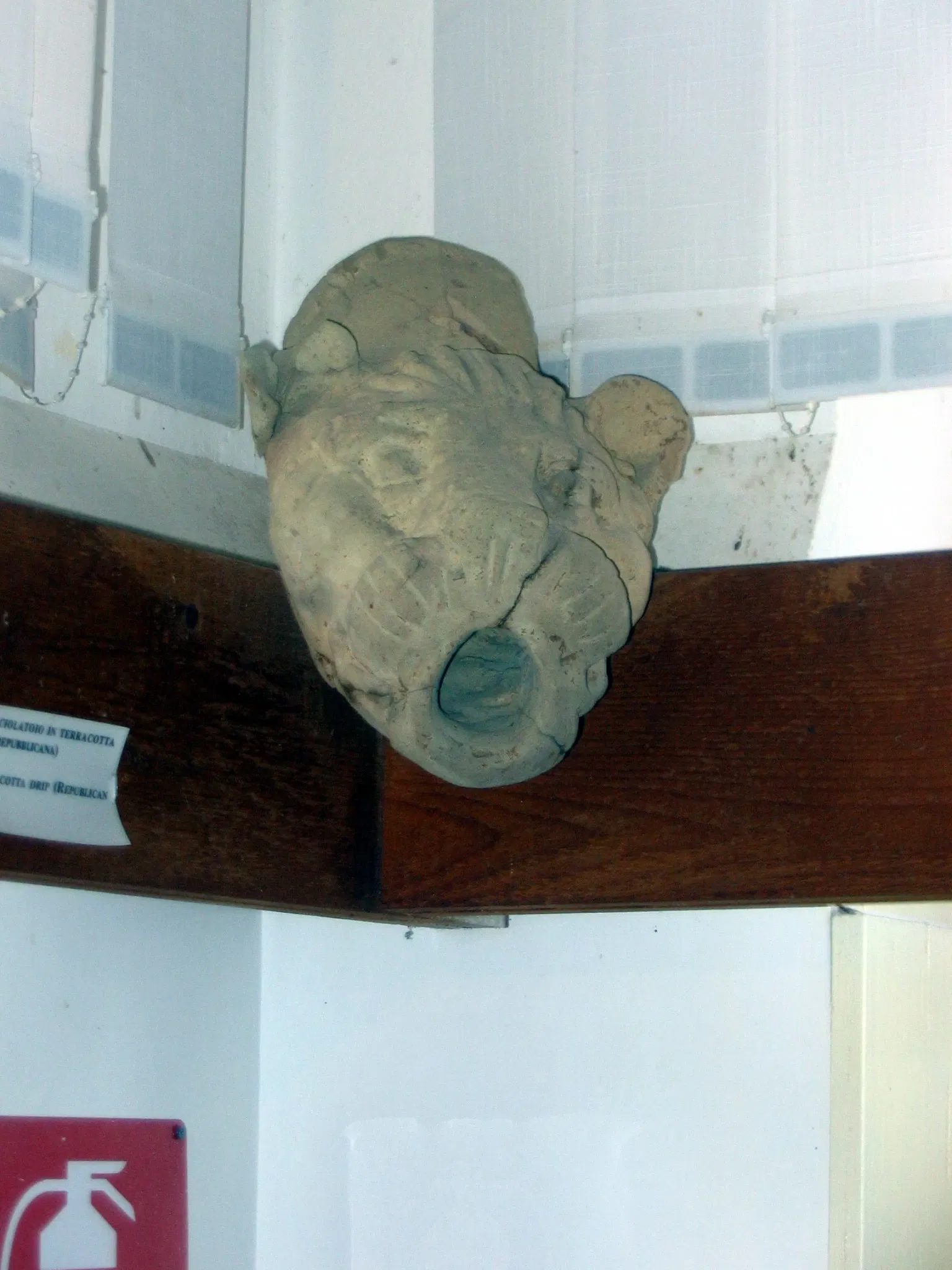 Museo Archeologico Nazionale ed Area Archeologica di Cosa