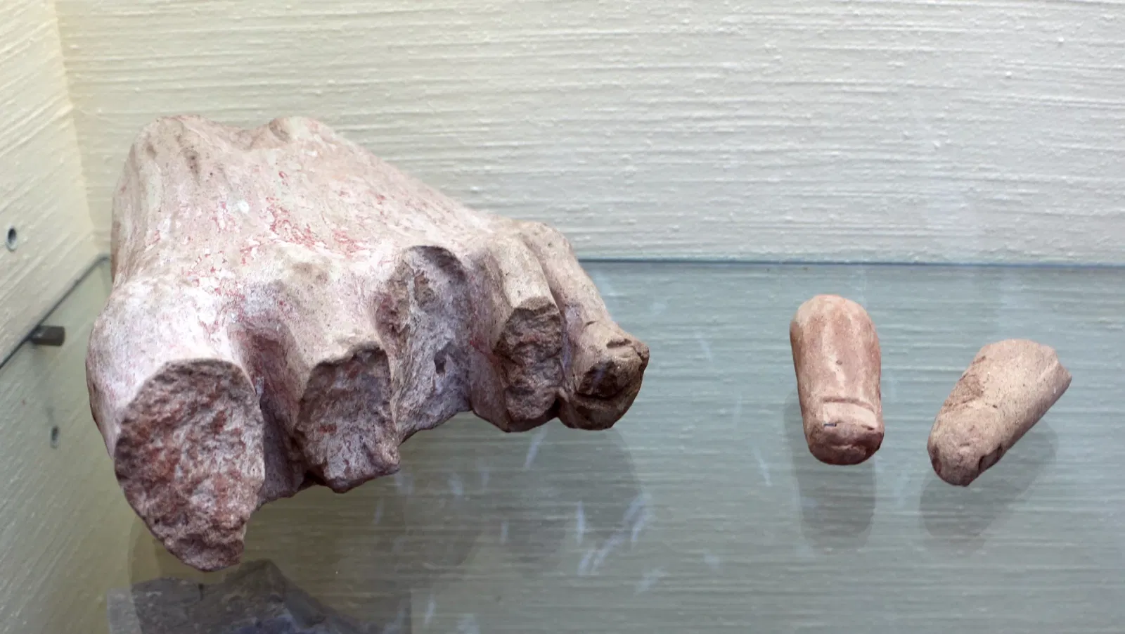 Museo Archeologico Nazionale ed Area Archeologica di Cosa