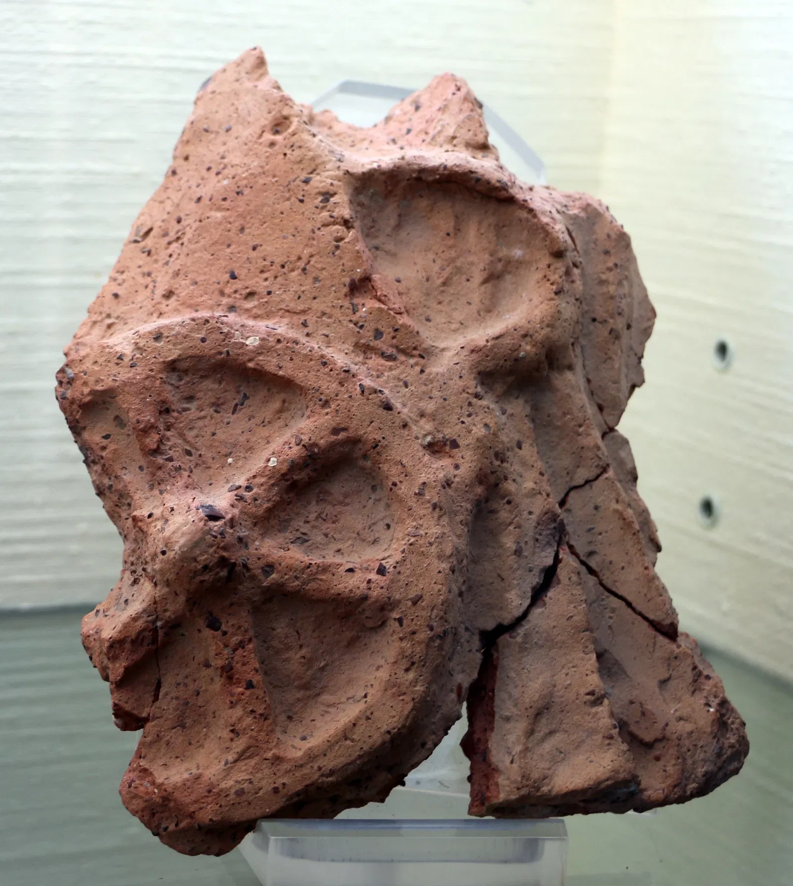 Museo Archeologico Nazionale ed Area Archeologica di Cosa