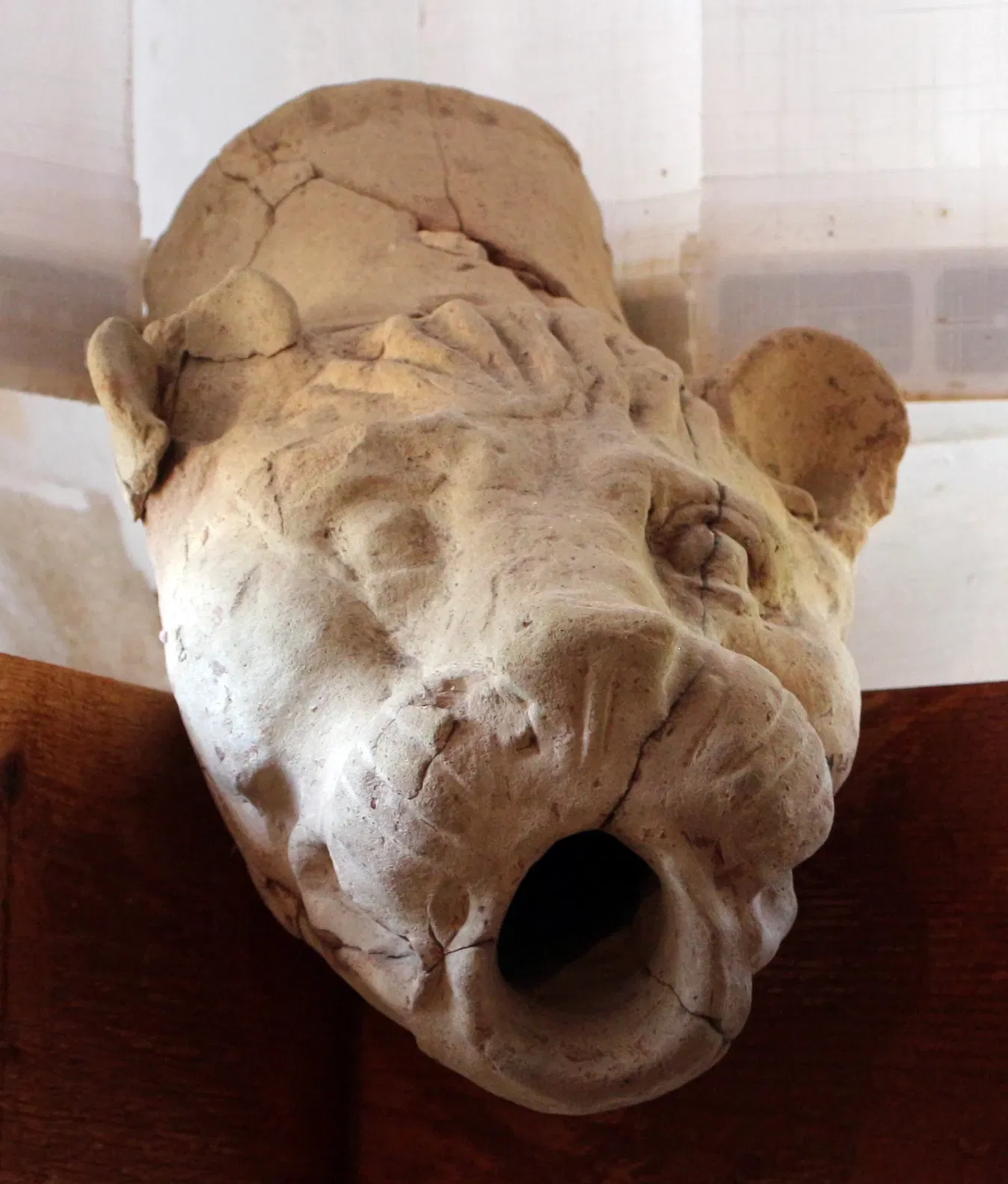 Museo Archeologico Nazionale ed Area Archeologica di Cosa