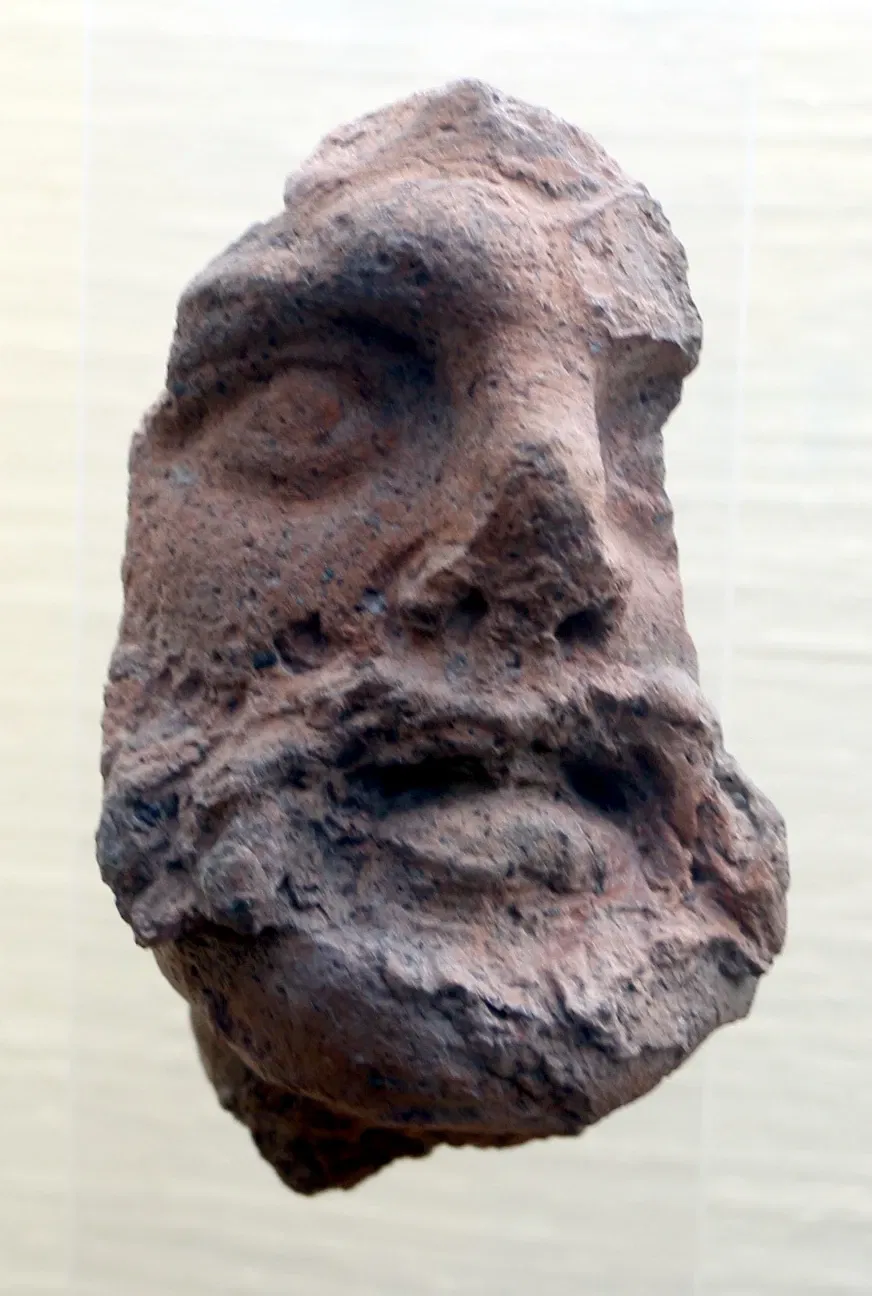 Museo Archeologico Nazionale ed Area Archeologica di Cosa