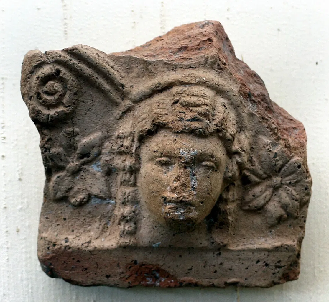 Museo Archeologico Nazionale ed Area Archeologica di Cosa