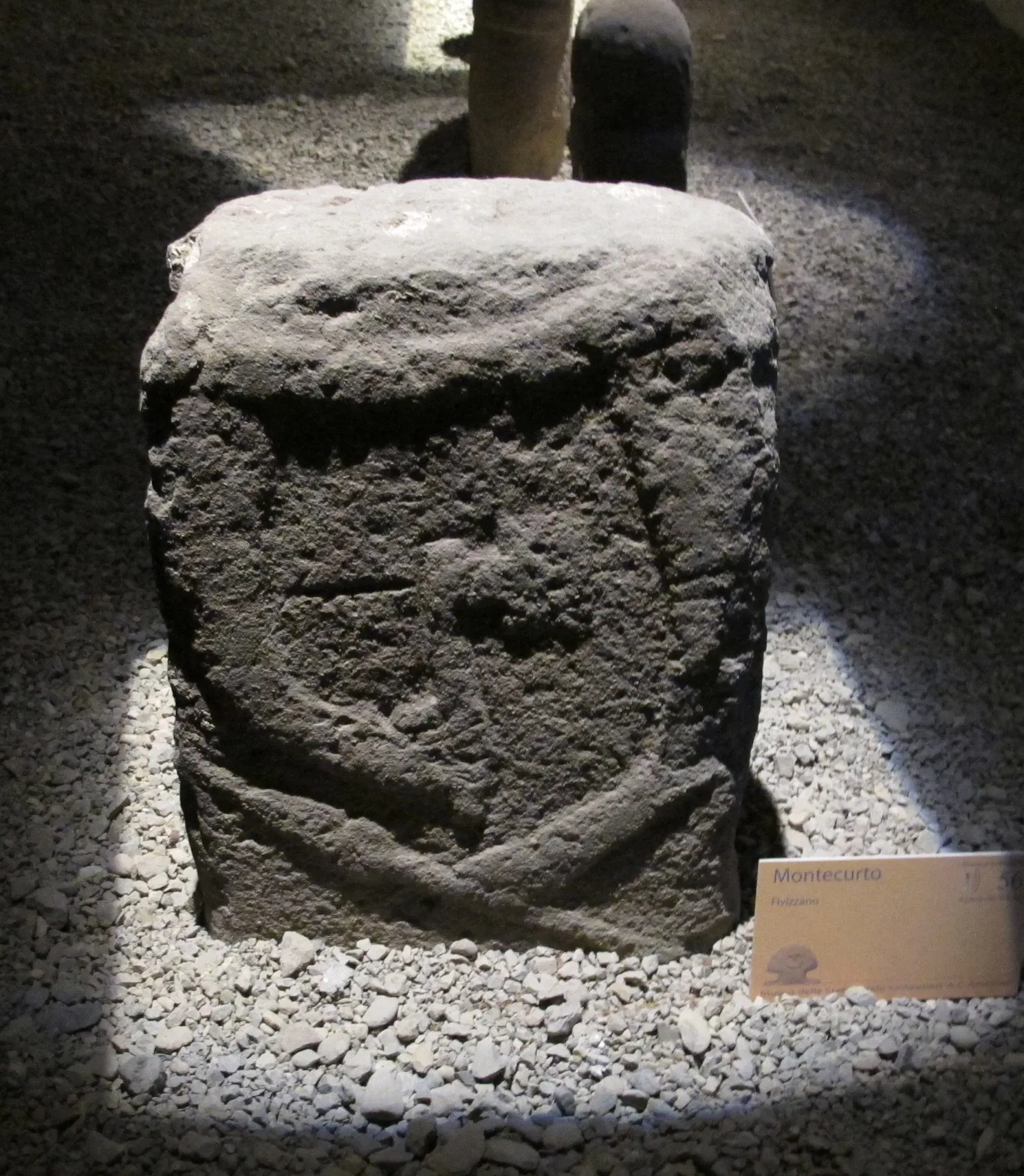 Museo delle Statue Stele Lunigianesi