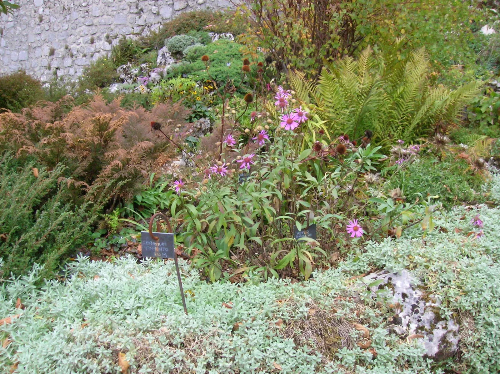 Musée de la Grande Chartreuse